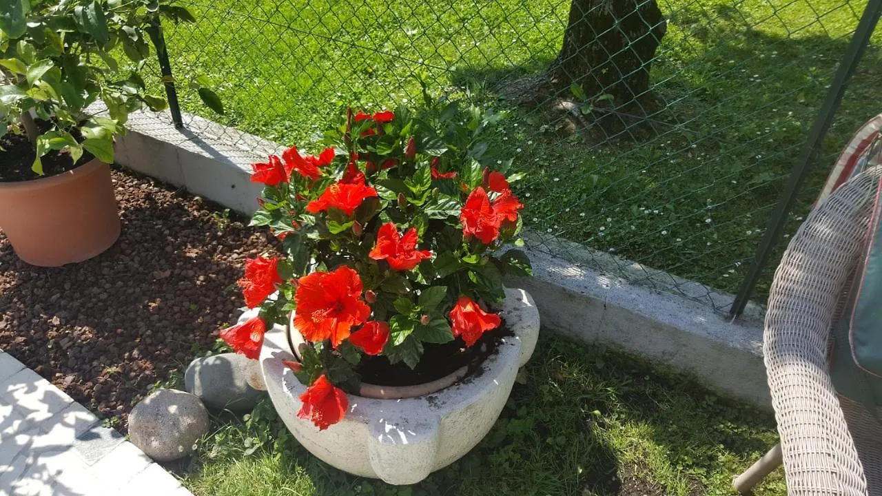 Nocleg ze śniadaniem B&B Casa Gaia - Sirmione